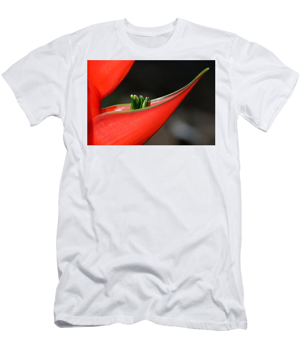 Flower T-Shirt featuring the photograph Heliconia Flower Petal by Lorenzo Cassina