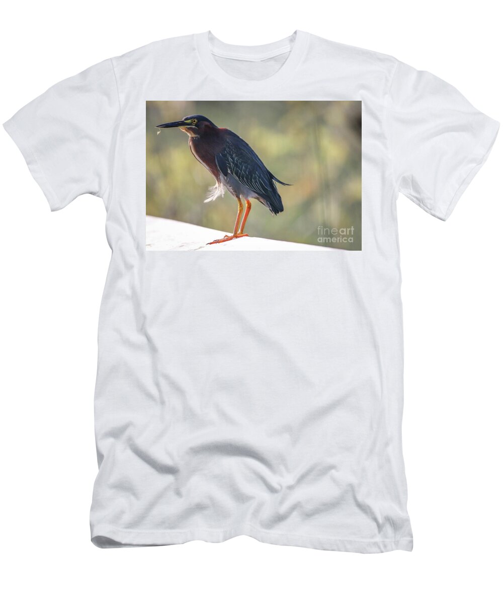 Heron T-Shirt featuring the photograph Heron with Ruffled Feathers by Tom Claud