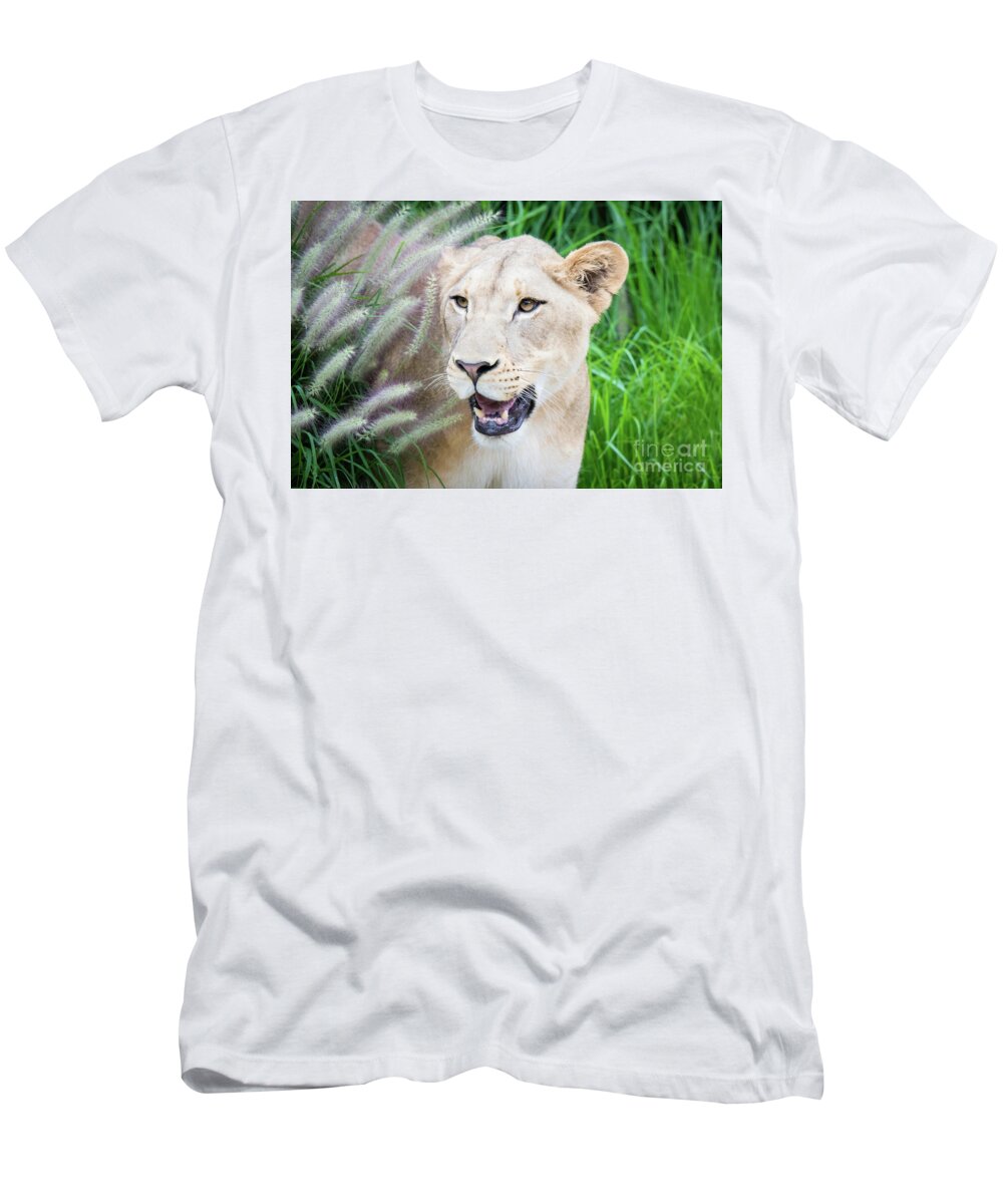 Female Lion T-Shirt featuring the photograph Hiding in Grass by Ed Taylor