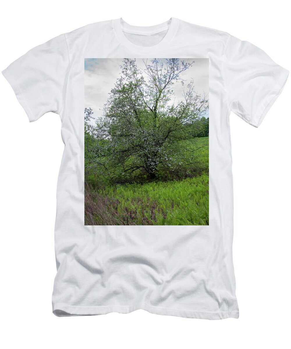 Nature T-Shirt featuring the photograph Hillside Lady by Michael Friedman