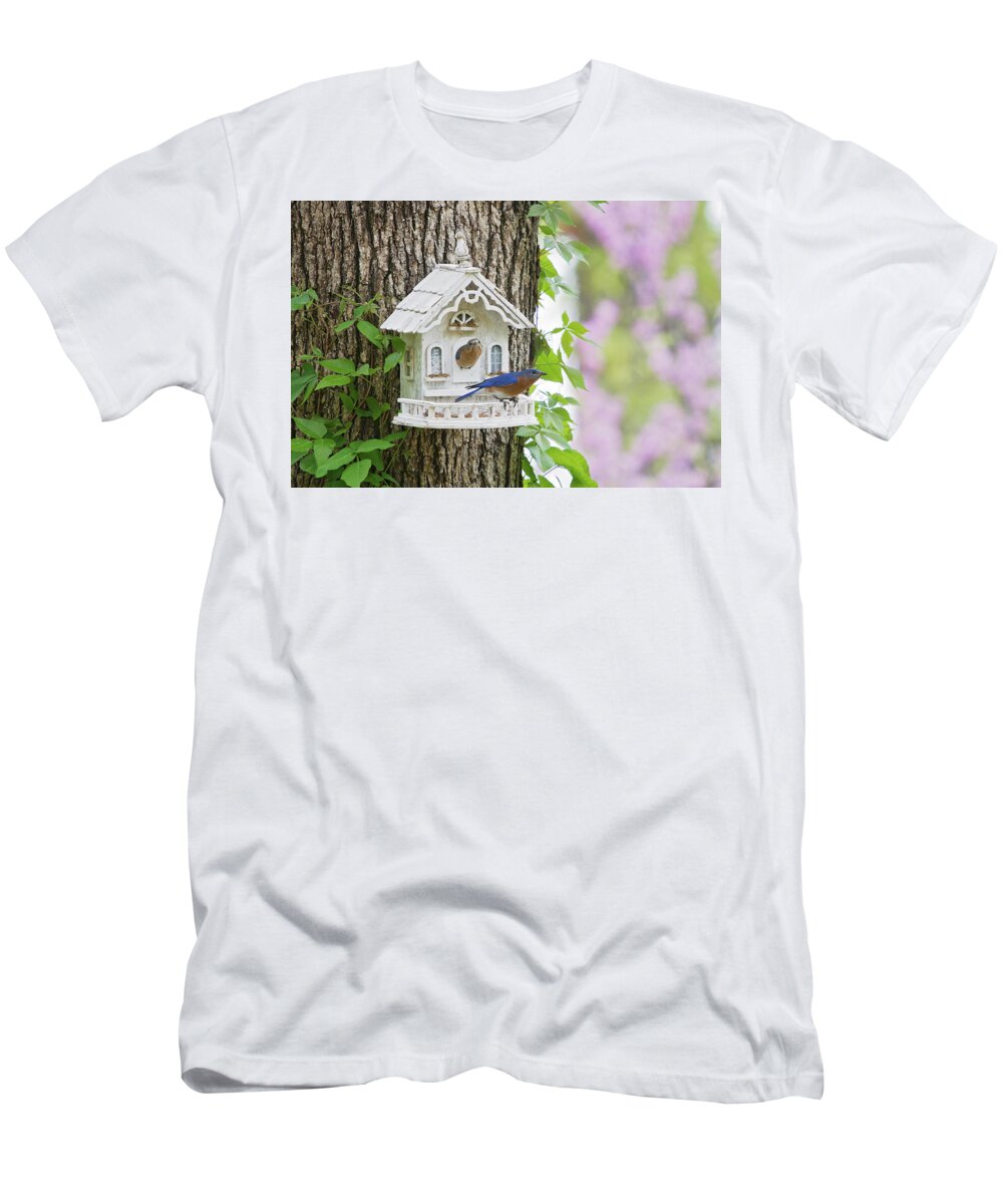 Bluebirds T-Shirt featuring the photograph Home Sweet Home by Eilish Palmer