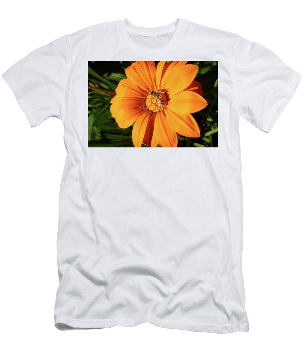 Daisy T-Shirt featuring the photograph Honey Bee And Gerber Daisy In San Diego Variation 2 by Kenneth Roberts