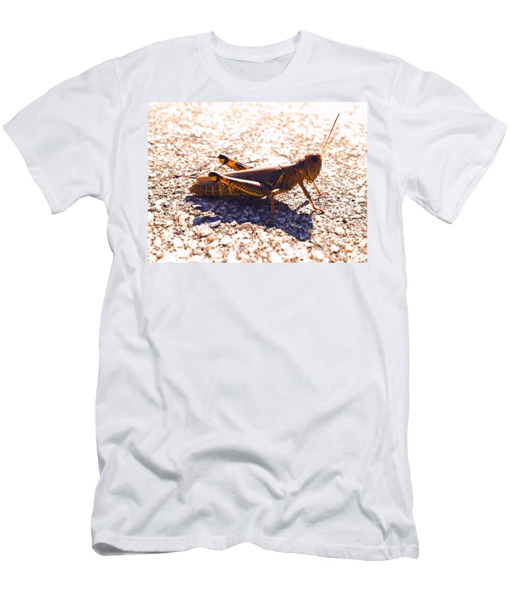 Landscape T-Shirt featuring the photograph Hop Away you Bugging Me by Morgan Carter