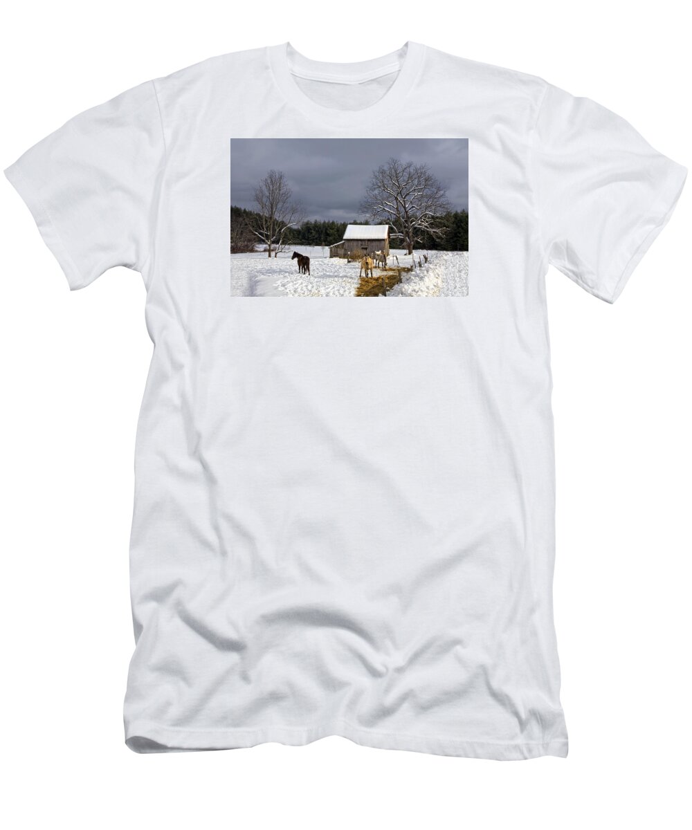 Barn T-Shirt featuring the photograph Horses in Snow by Ken Barrett
