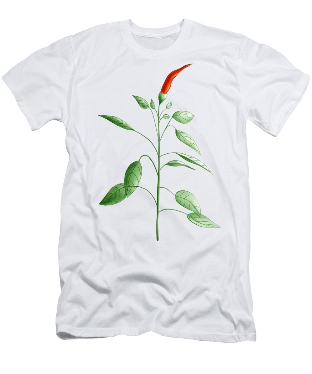 Chili T-Shirt featuring the digital art Hot Chili Pepper Plant Botanical Illustration by Boriana Giormova