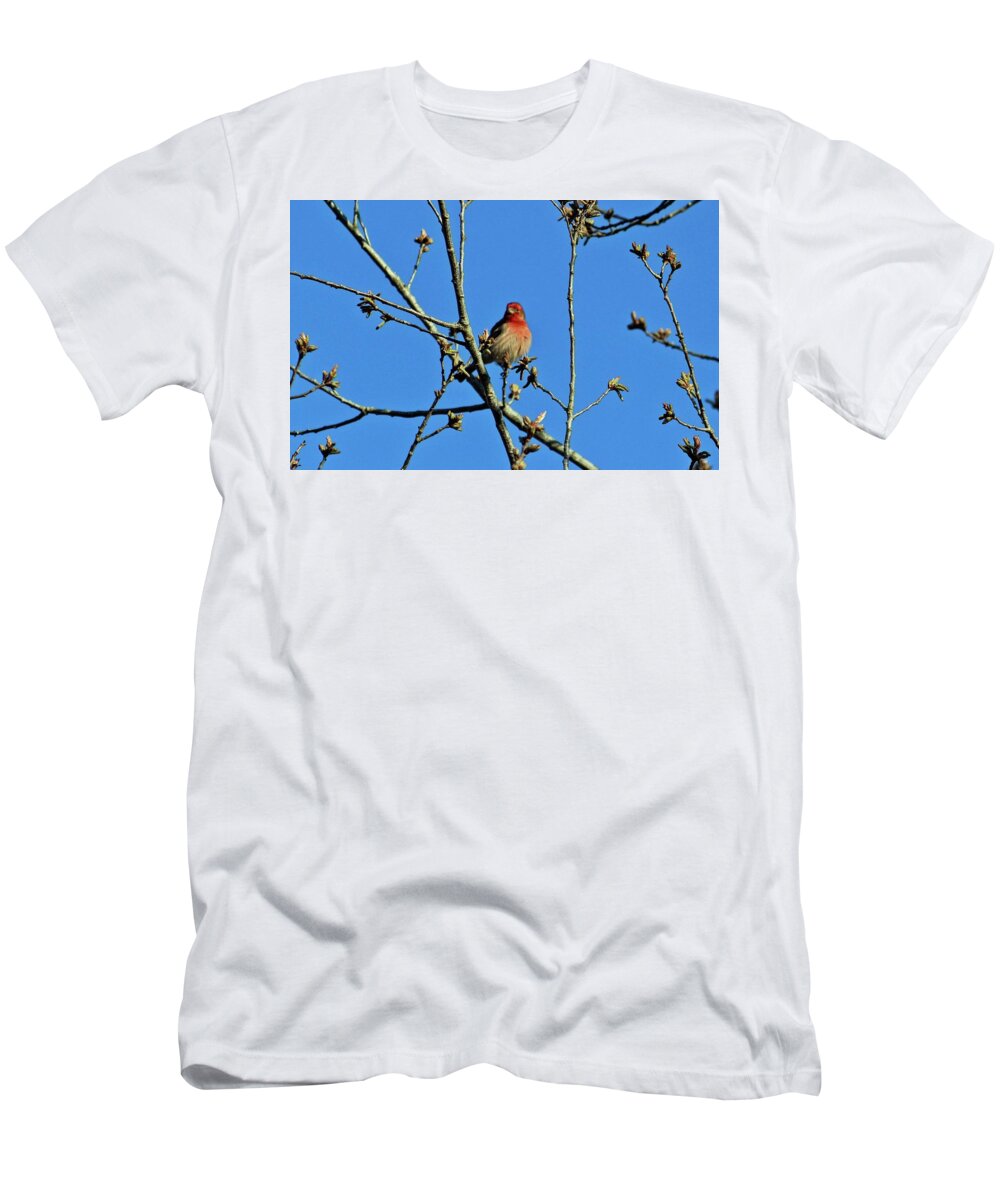 House Finch T-Shirt featuring the photograph House Finch Male by Cynthia Guinn