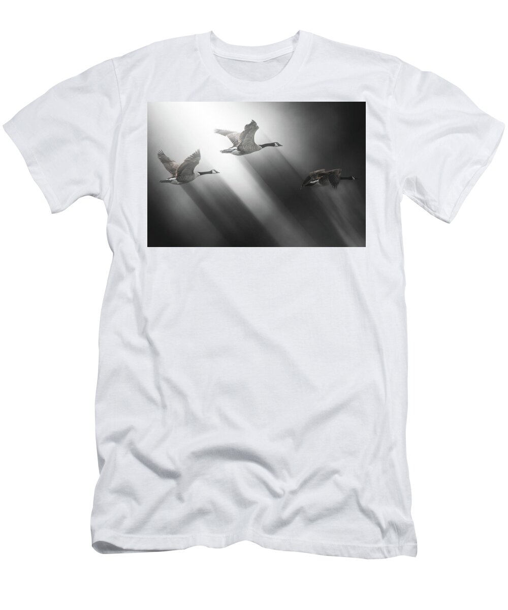 Geese T-Shirt featuring the photograph Houston We Clear to Land? by Mike Gifford