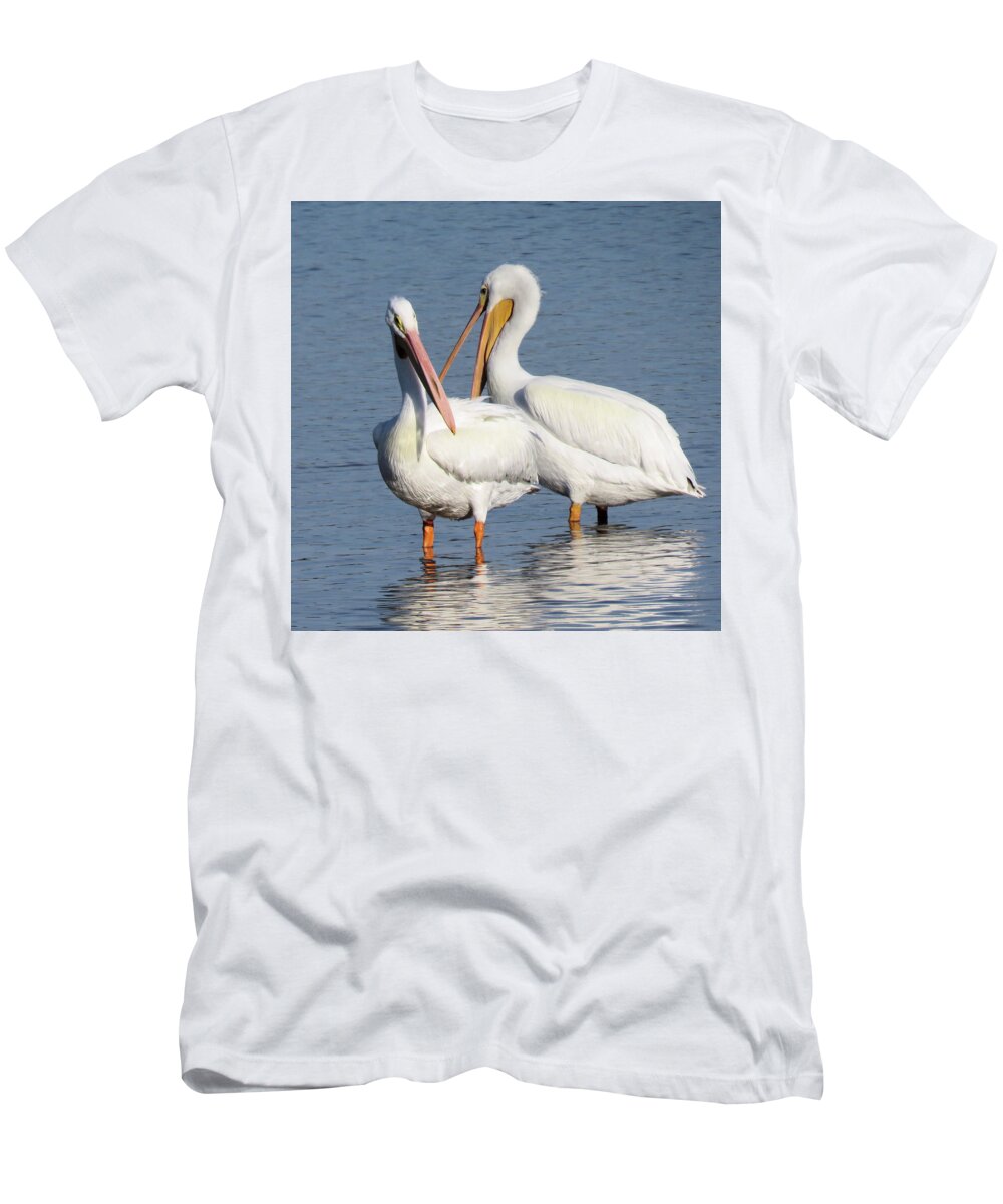 Pelican T-Shirt featuring the photograph How About a Date Gorgeous? by Rosalie Scanlon