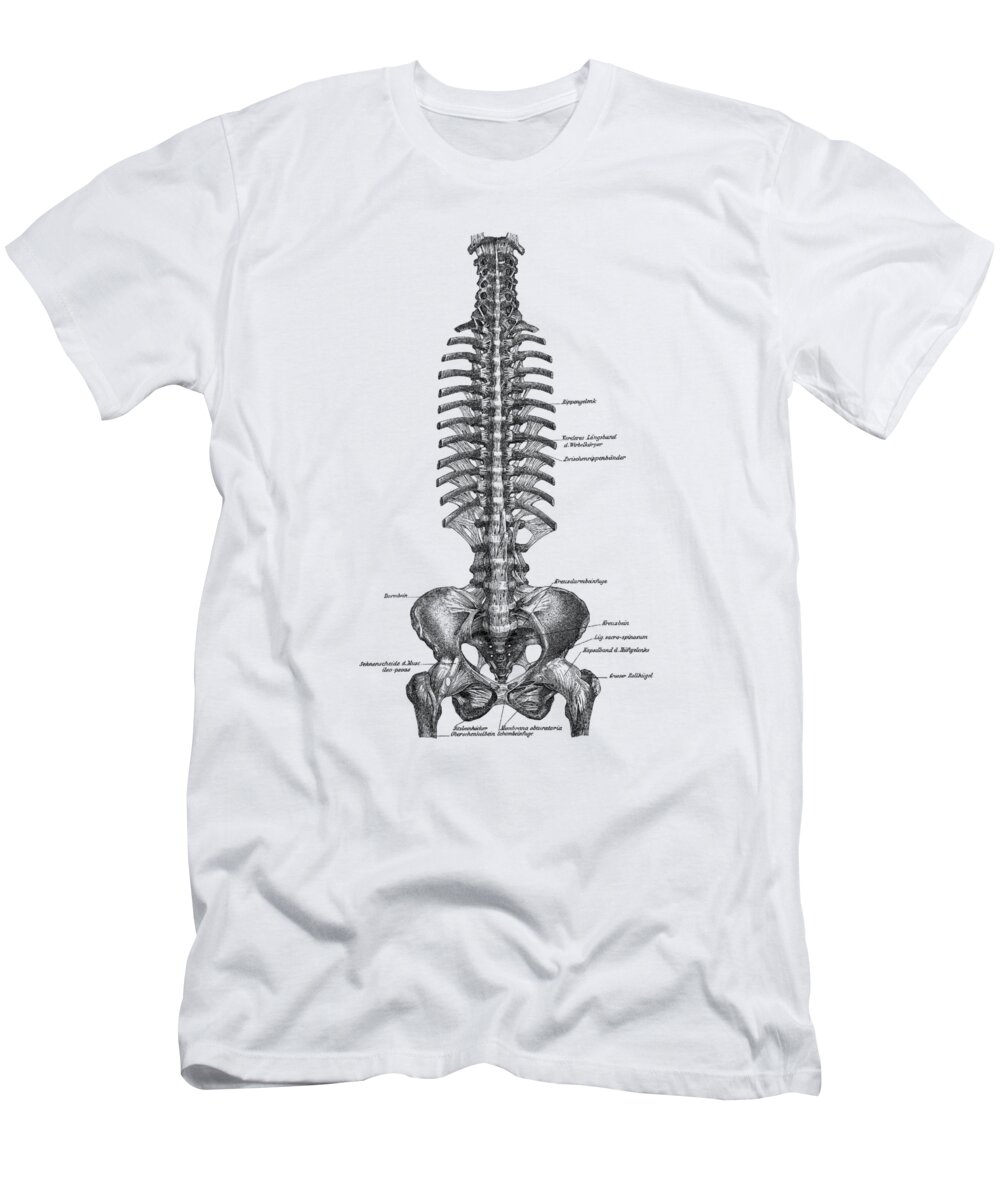 Spinal Cord T-Shirt featuring the drawing Human Spine and Pelvis - Simple Diagram - Vintage Anatomy by Vintage Anatomy Prints