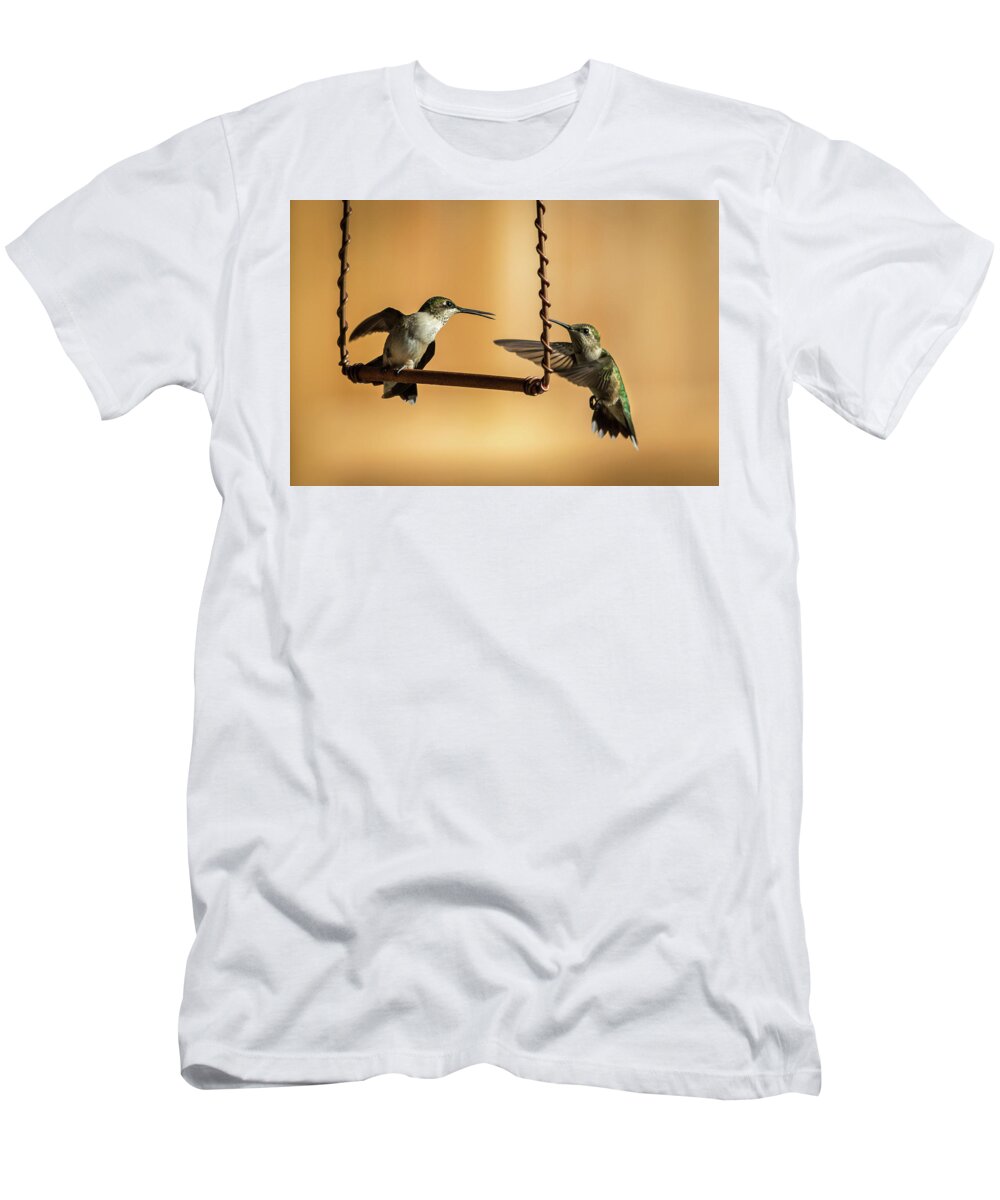 Hummingbird T-Shirt featuring the photograph Humming Birds by Allin Sorenson
