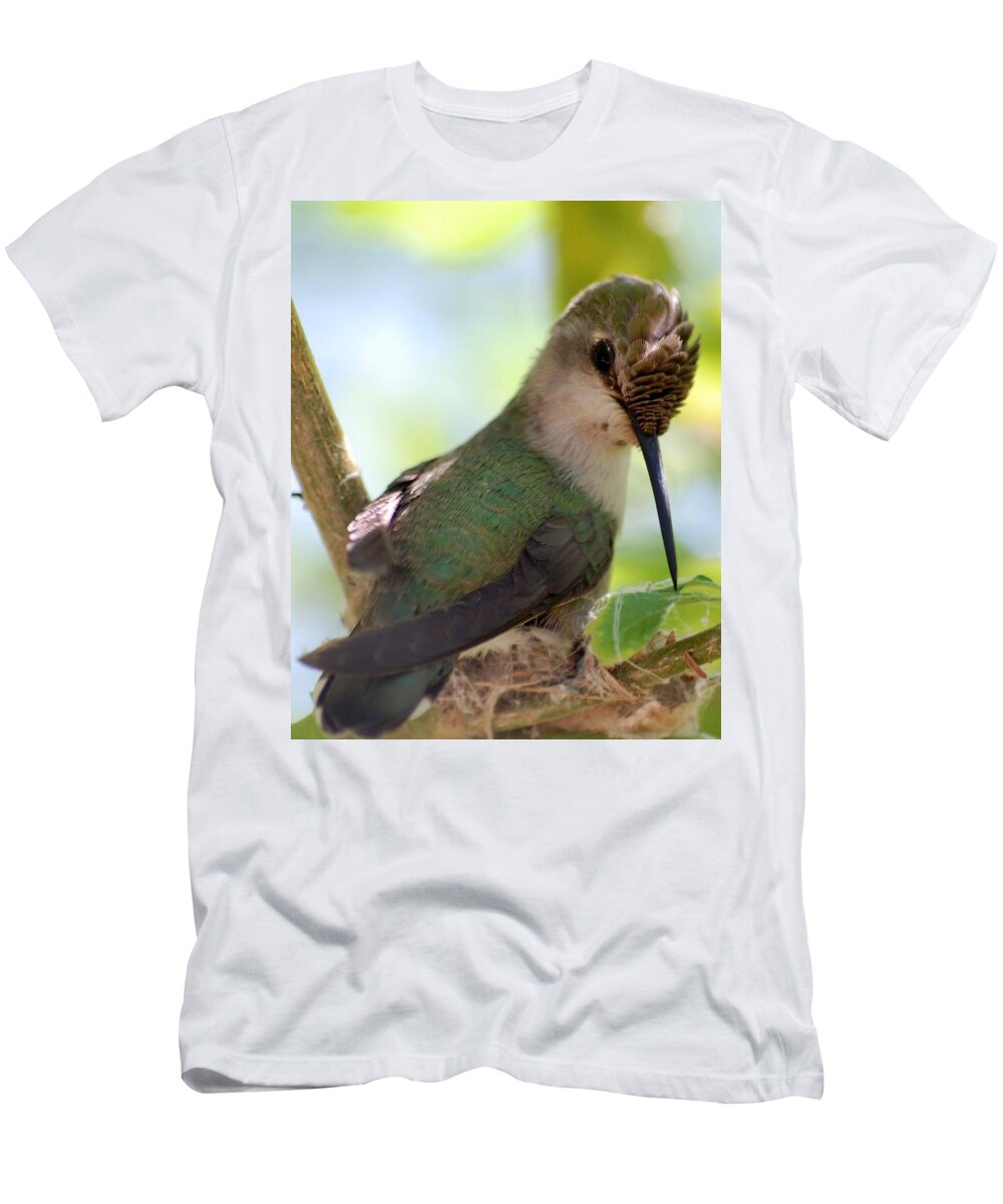 Hummingbird T-Shirt featuring the photograph Hummingbird with small nest by Amy Fose