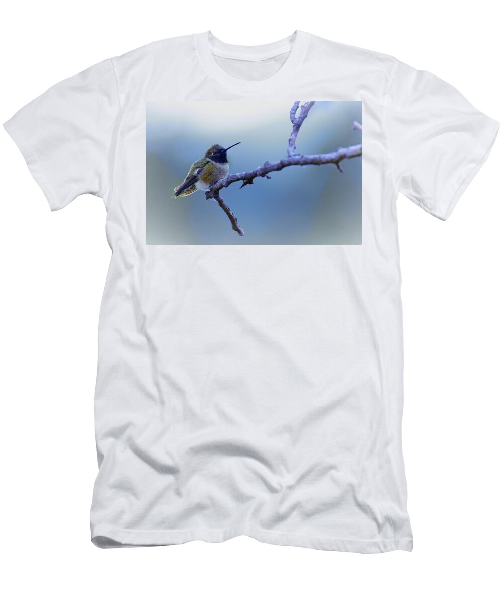 Hummingbird T-Shirt featuring the photograph Hummingbird11 by Loni Collins