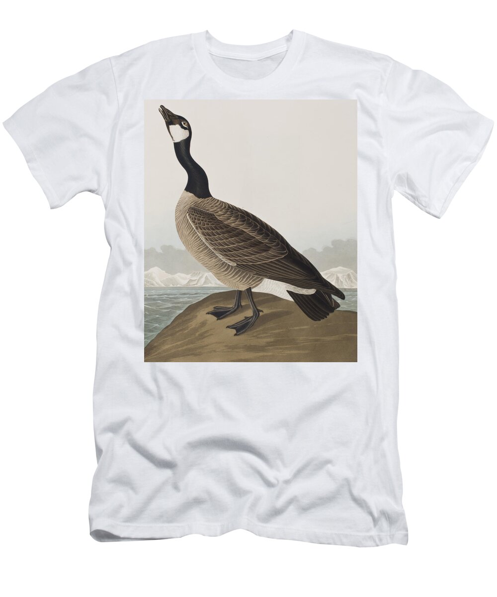 Goose T-Shirt featuring the painting Hutchins's Barnacle Goose by John James Audubon