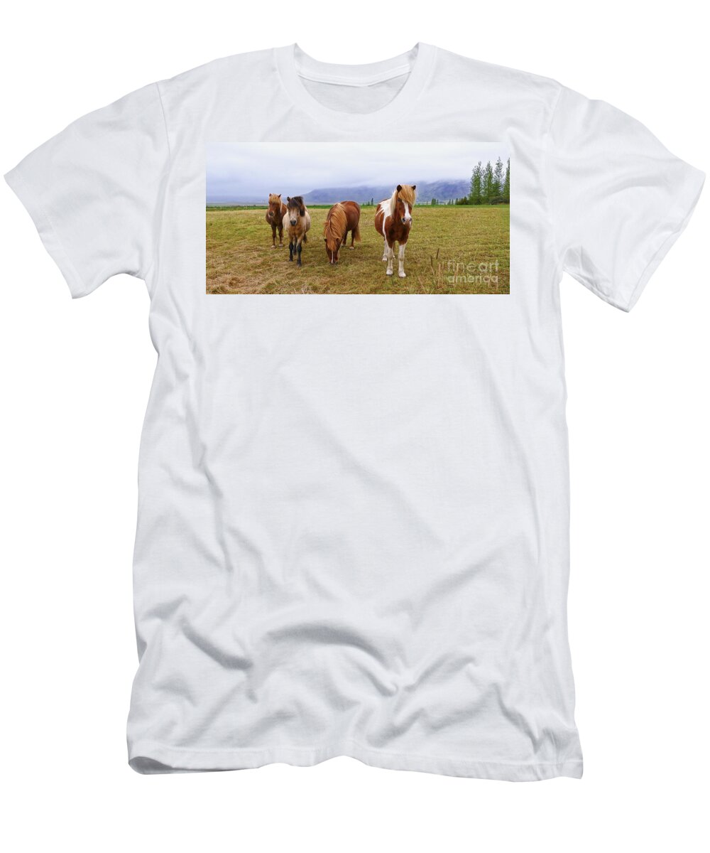Iceland T-Shirt featuring the photograph Icelandic Horse Quartet by Catherine Sherman