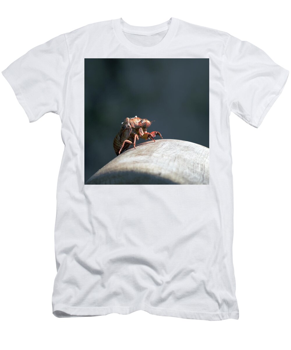 Insect T-Shirt featuring the photograph Invader from.... by Paul Ross