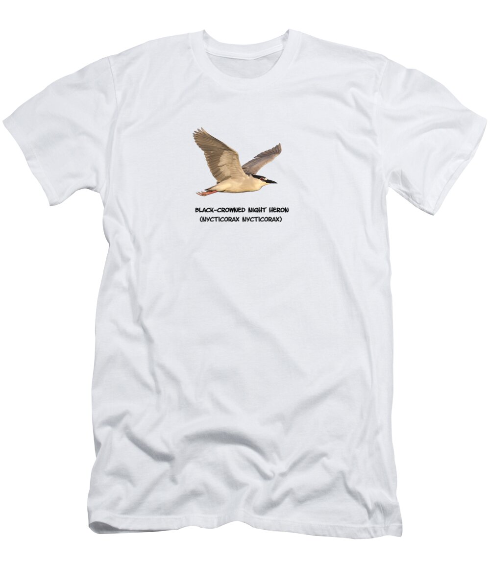 Black-crowned Night Heron T-Shirt featuring the photograph Isolated Black-crowned Night Heron 2017-6 by Thomas Young