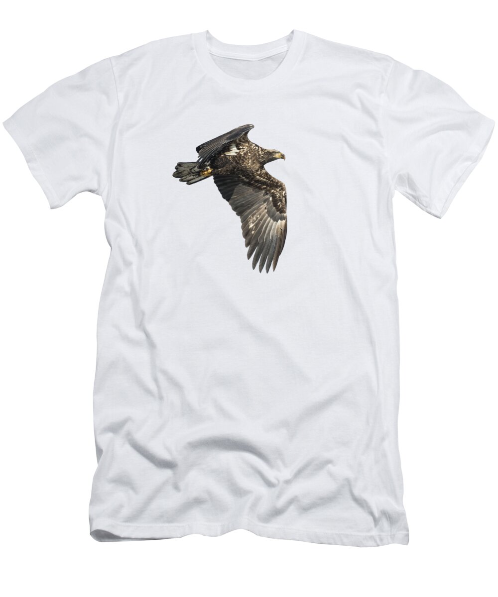 American Bald Eagle T-Shirt featuring the photograph Isolated Eagle 2017-2 by Thomas Young