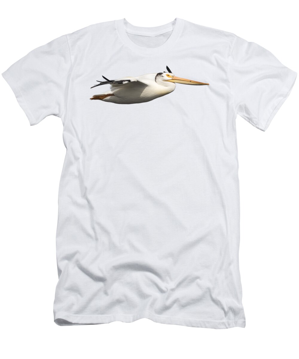 American White Pelican T-Shirt featuring the photograph Isolated Pelican 2016-1 by Thomas Young