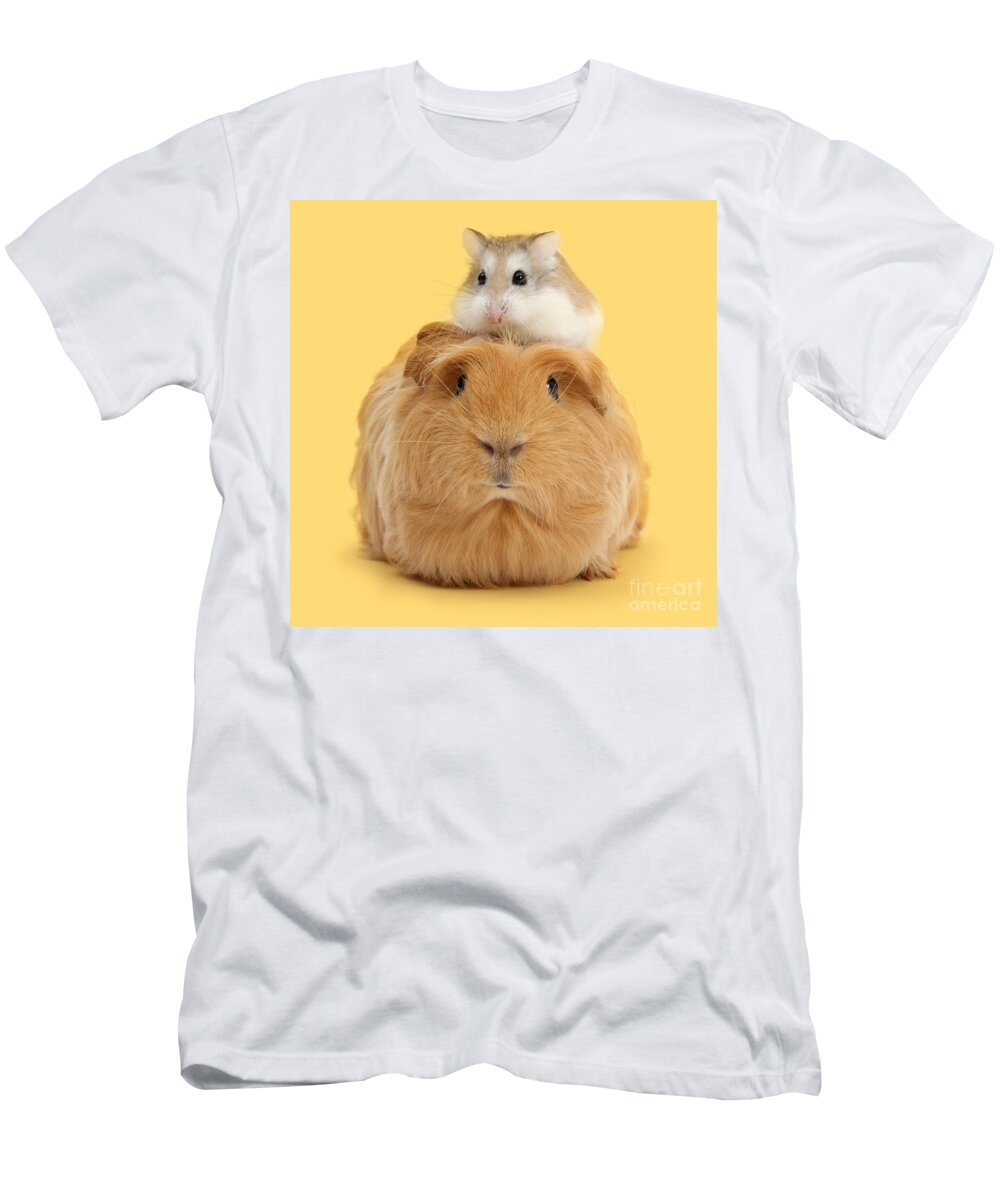Roborovski Hamster T-Shirt featuring the photograph It's a Guinea wig by Warren Photographic
