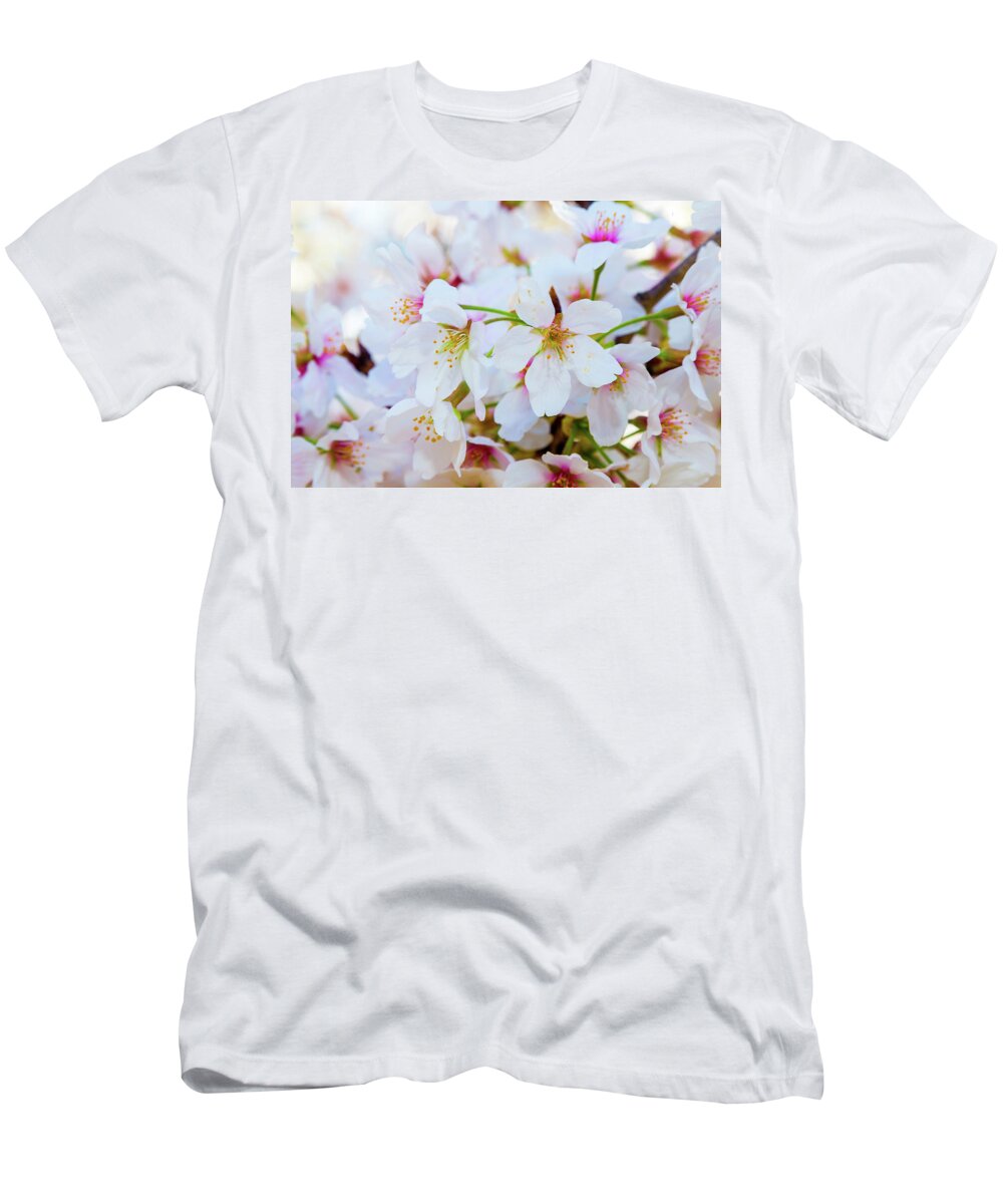 Cherry Blossom Festival T-Shirt featuring the photograph Japanese Cherry Tree Blossoms 2 by SR Green