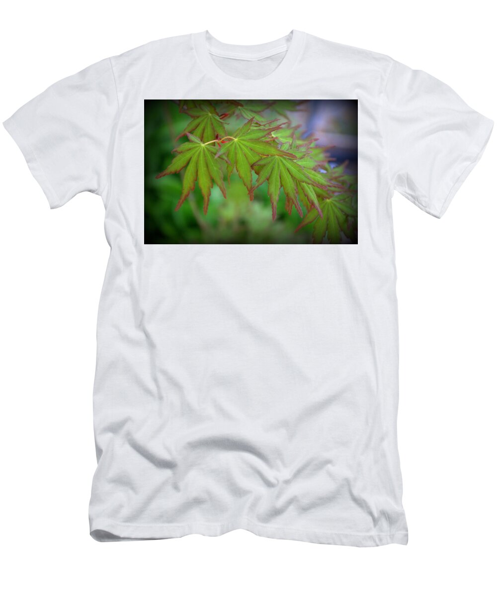 Foliage T-Shirt featuring the photograph Japanese Maple Foliage by Nathan Abbott
