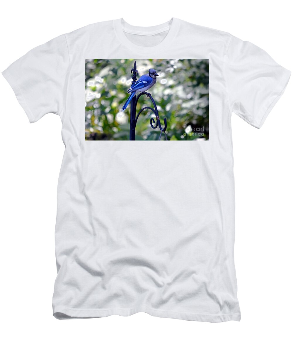 Blue Jay T-Shirt featuring the photograph Jay Perch by Dani McEvoy