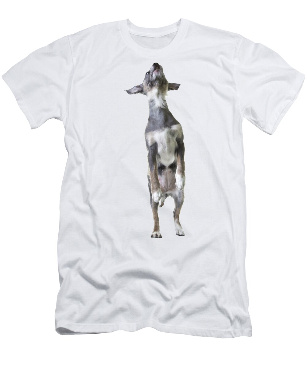 Dog T-Shirt featuring the photograph Jumping Dog Tee by Edward Fielding