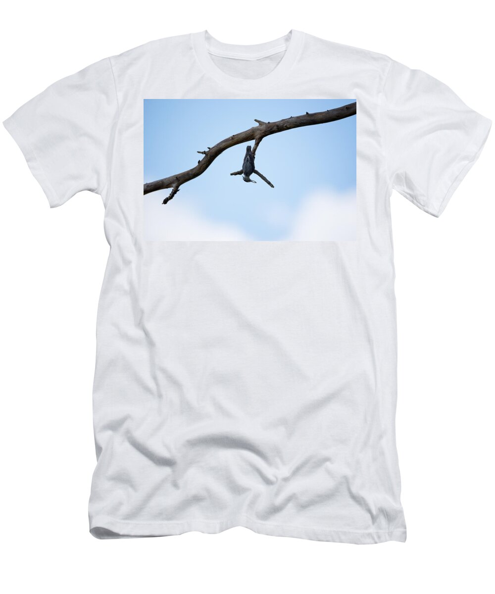 Bird T-Shirt featuring the photograph Just Hanging Around by Holden The Moment