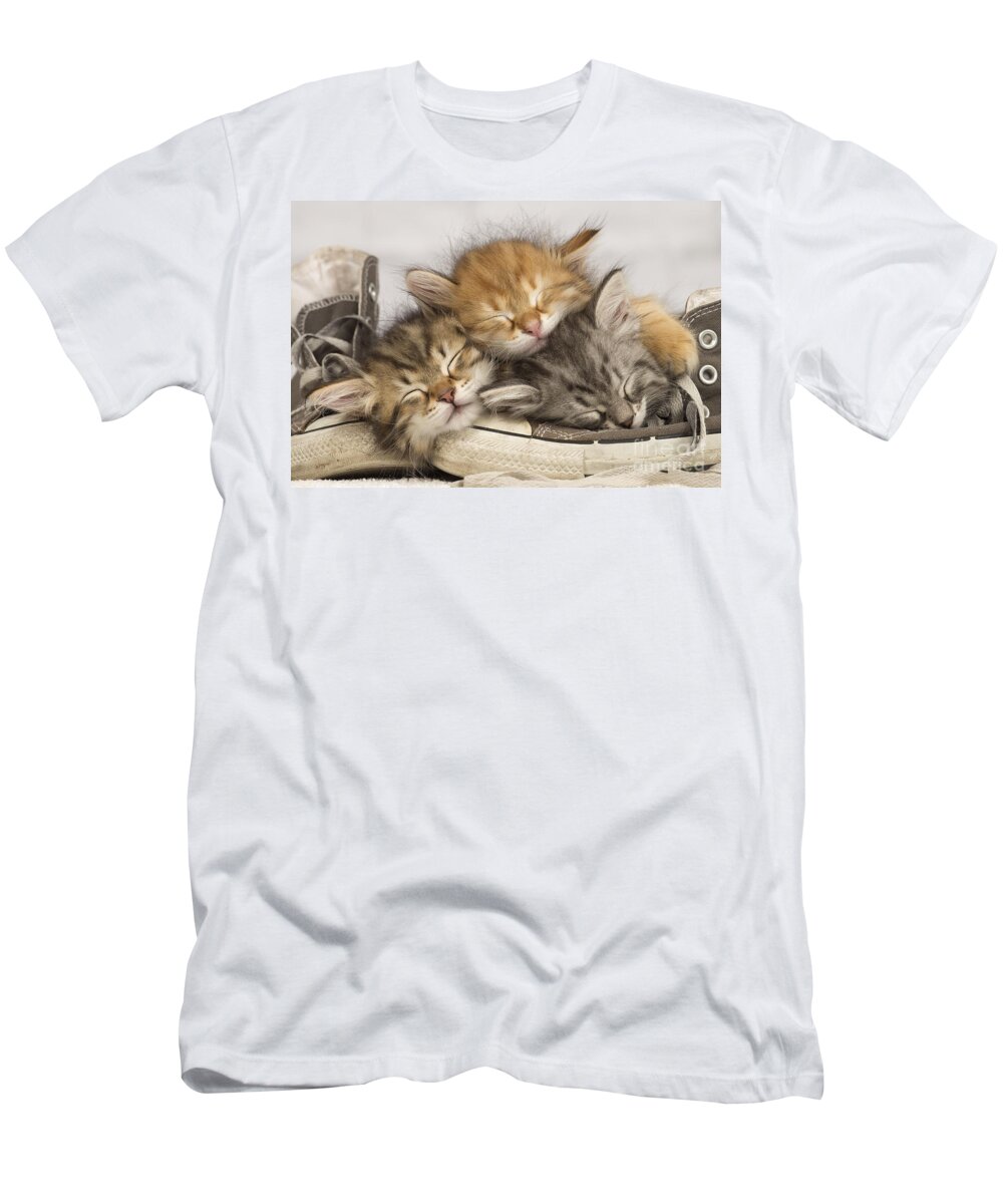 Cat T-Shirt featuring the photograph Kittens Asleep On Shoes by Jean-Michel Labat