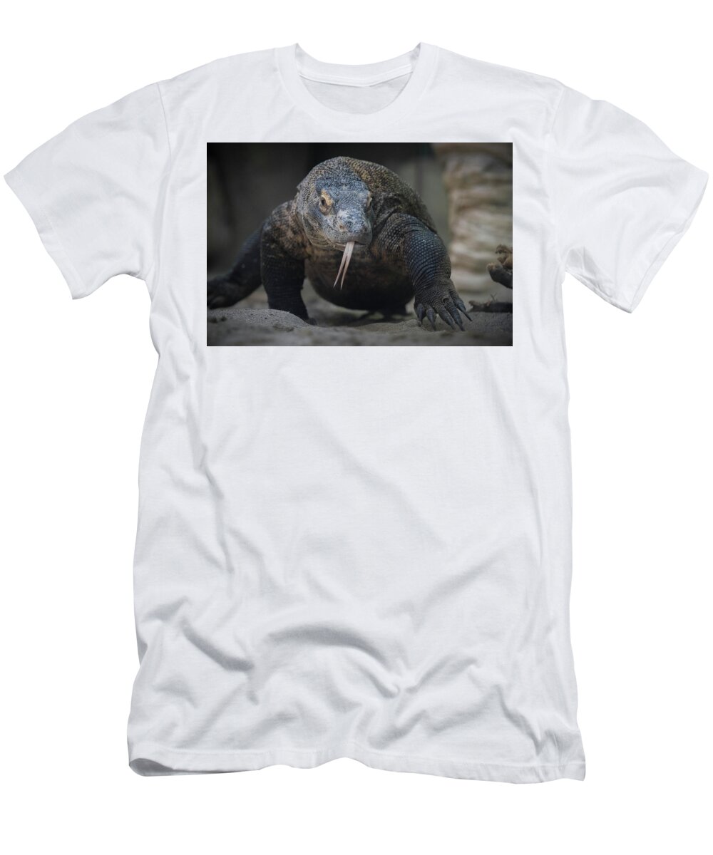 Zoo T-Shirt featuring the photograph Komodo Dragon Crawl by Bill Cubitt