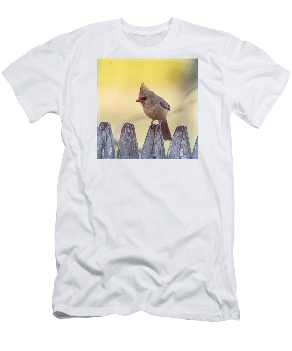 Bird T-Shirt featuring the photograph Lady Cardinal by Cathy Kovarik