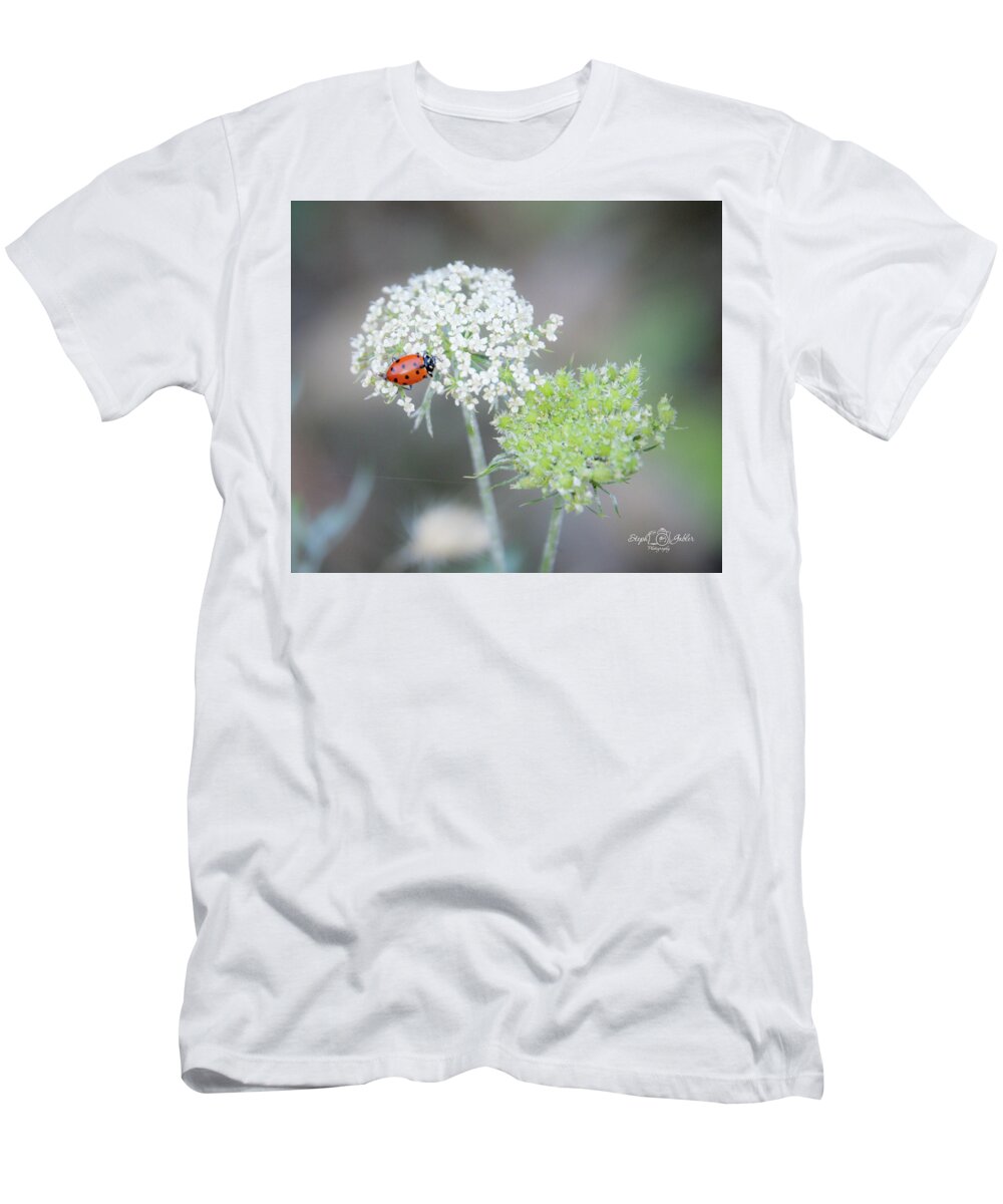 Ladybug T-Shirt featuring the photograph Lady on the Lace II by Steph Gabler