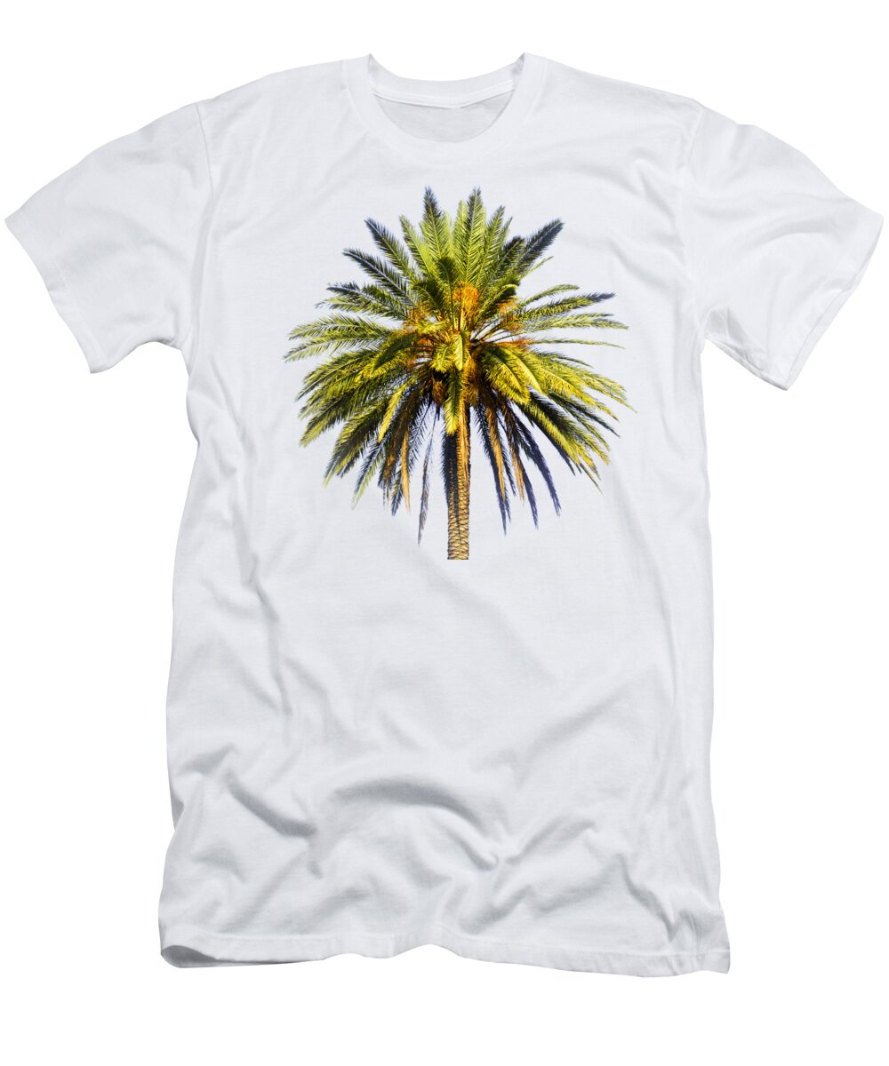 Prosperity; Peace; Middle East; Large; Palm Tree; Palm; Tree; Dates; Fruit; Mature; Ripe; Background; Oasis; Haven; Psi; Idr; Square T-Shirt featuring the photograph Large palm tree with dates by Ilan Rosen