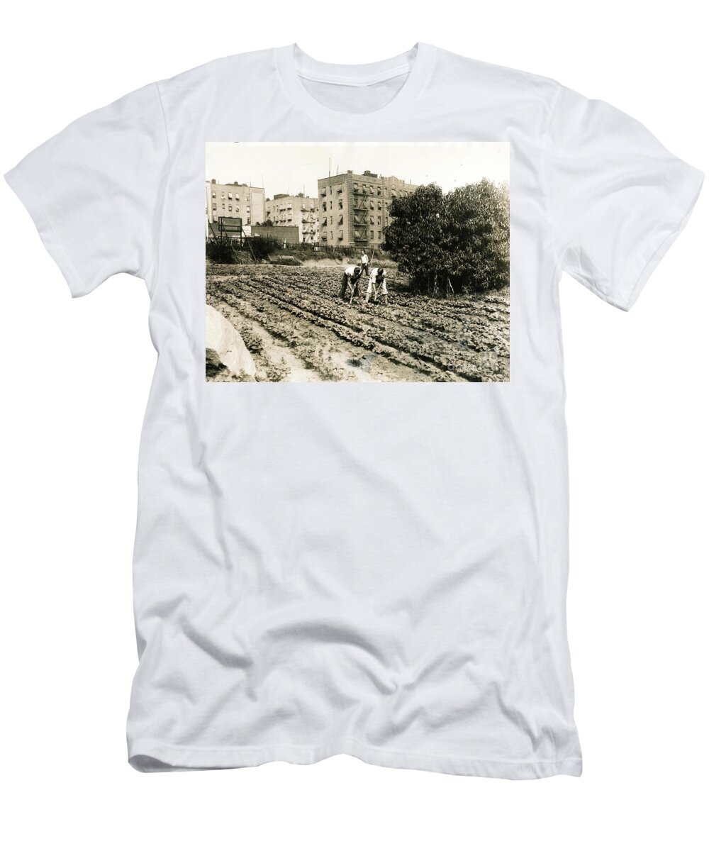 Farming T-Shirt featuring the photograph Last Working Farm in Manhattan by Cole Thompson