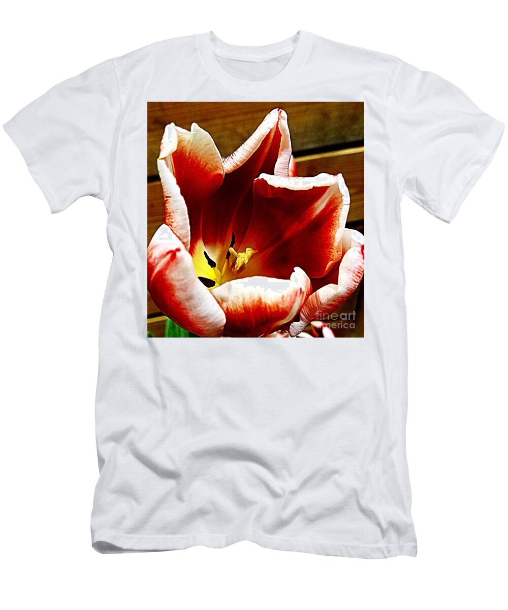 Tulip T-Shirt featuring the photograph Late Bloomer by Donna Cain