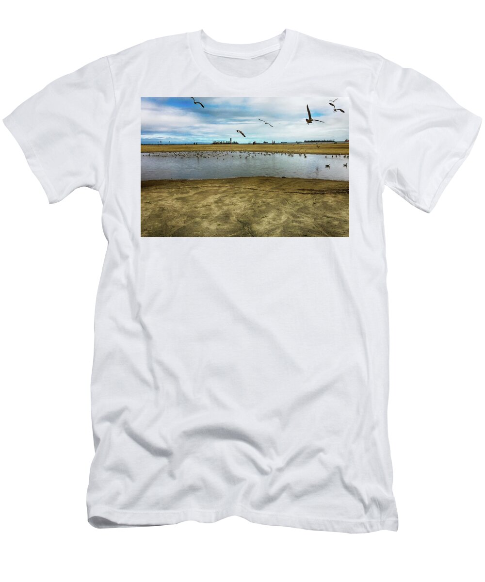 Seagulls T-Shirt featuring the photograph LB Seagull Pond by Joseph Hollingsworth