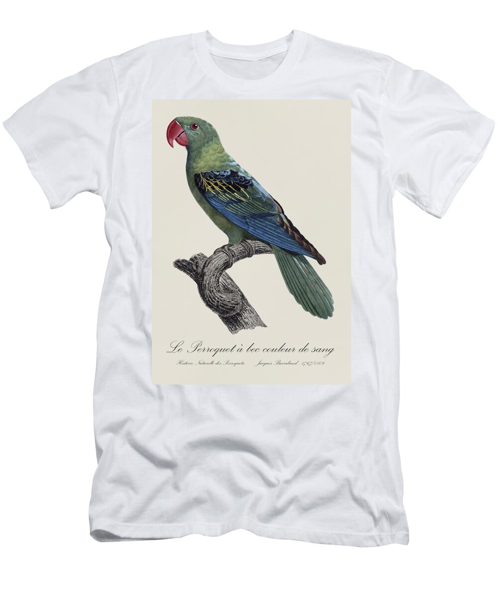 Perroquet T-Shirt featuring the painting Le Perroquet a bec couleur de sang / Great-billed parrot - Restored 19thC. illustration by Barraband by SP JE Art