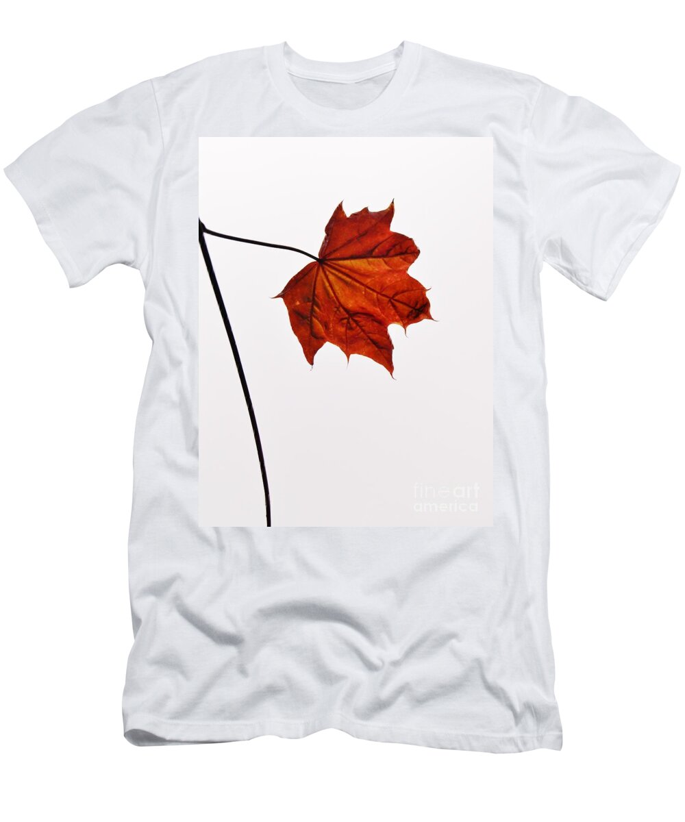 Leaf T-Shirt featuring the photograph Leaf by Richard Brookes