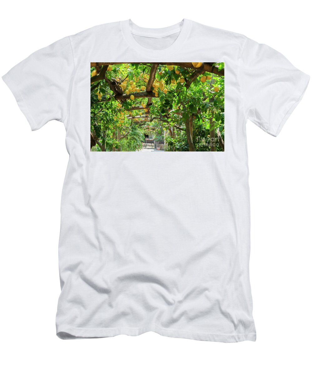 Lemon T-Shirt featuring the photograph Lemon Garden of Sorrento by Anastasy Yarmolovich