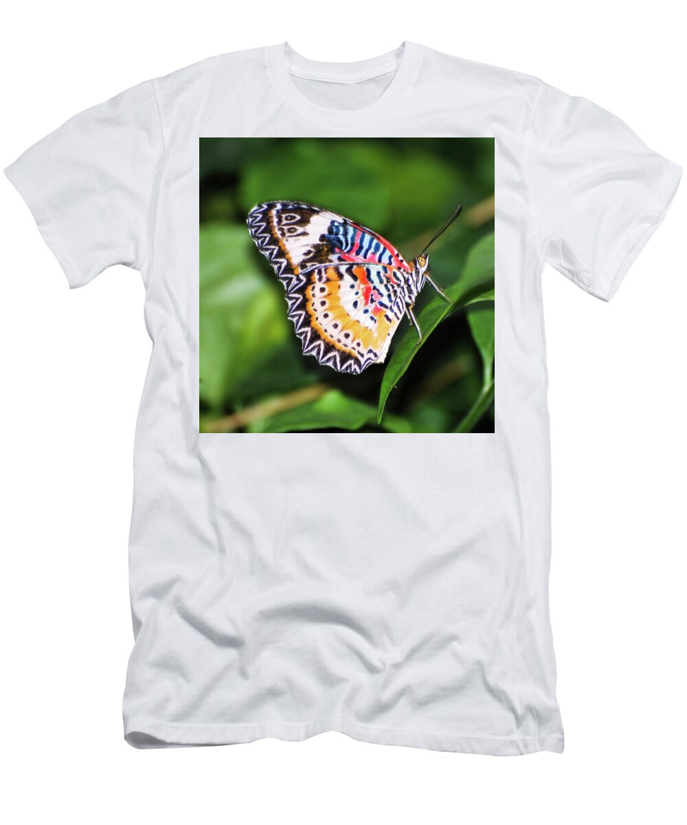 Black And White T-Shirt featuring the photograph Leopard Lacewing Buterfly by Winnie Chrzanowski