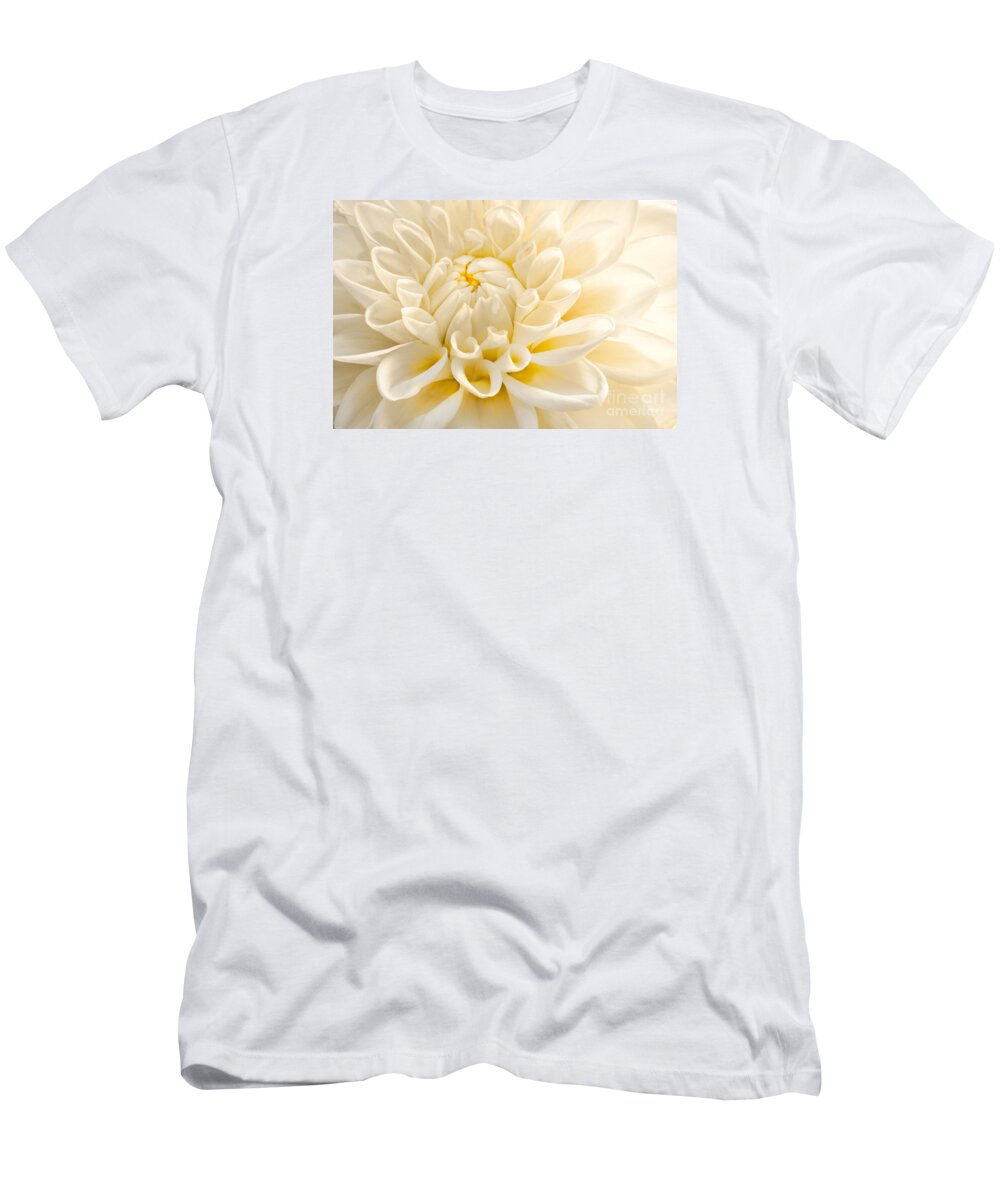 Dahlias T-Shirt featuring the photograph Light Awakens Us by Marilyn Cornwell