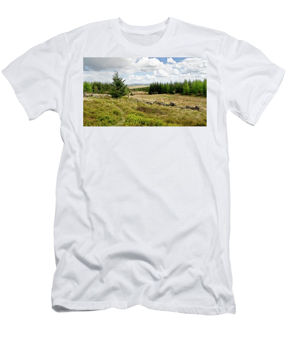 Forest T-Shirt featuring the photograph Light day in the forest near Wilsontown by Elena Perelman