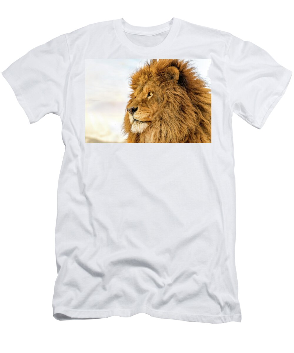 Lion T-Shirt featuring the photograph Lion King by Mike Centioli