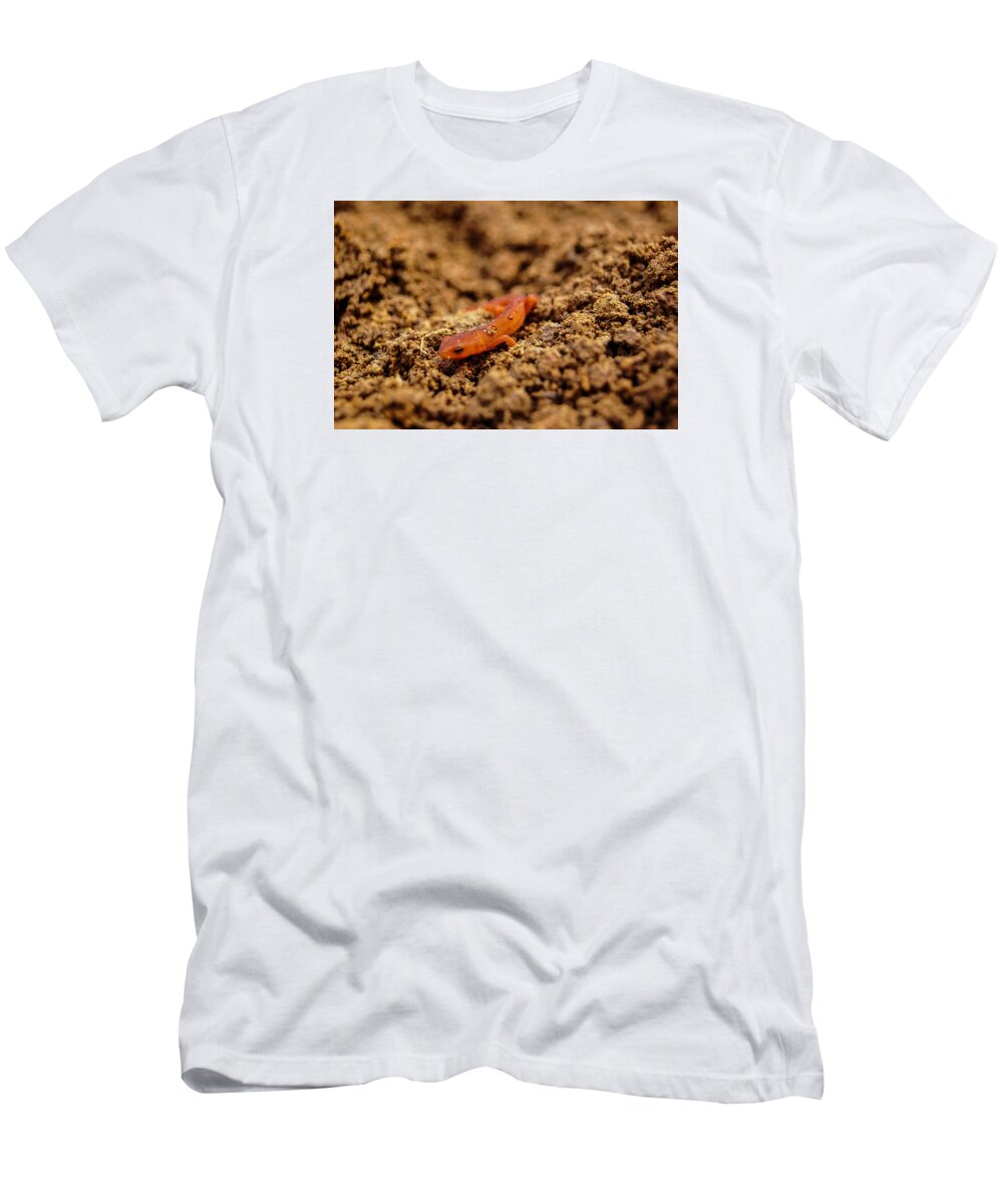 Lizard T-Shirt featuring the photograph Lizard in dirt by Micha Dziekonski