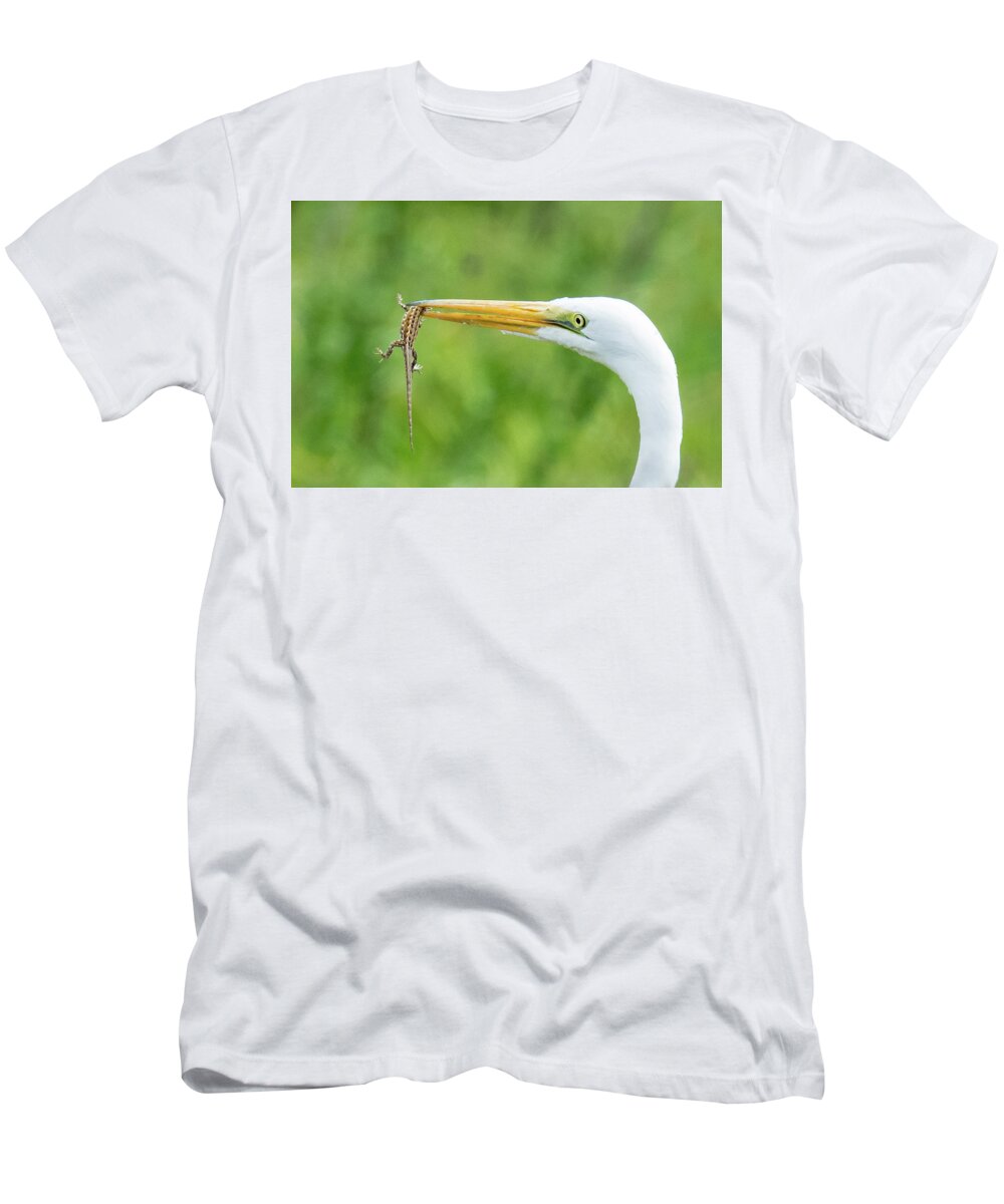 Egret T-Shirt featuring the photograph Lizard lunch by Michael Allred