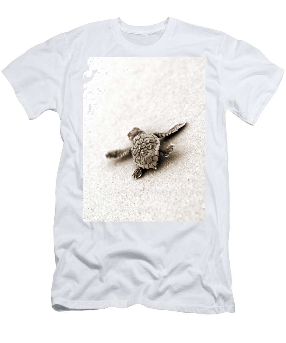 Loggerhead Turtle! Hilton Head Island T-Shirt featuring the photograph Loggerhead by Michael Stothard