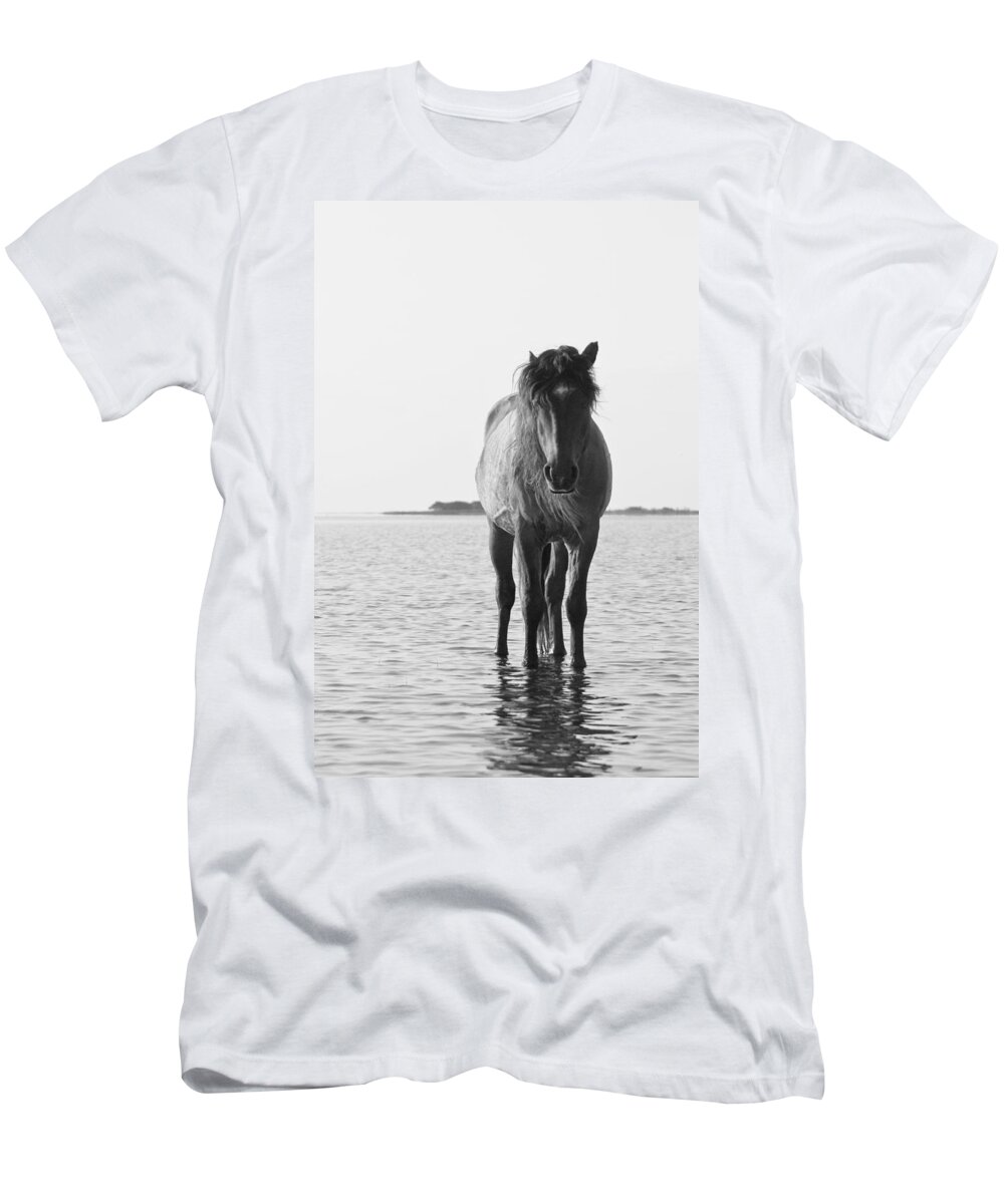 Wild T-Shirt featuring the photograph Lone Stallion by Bob Decker