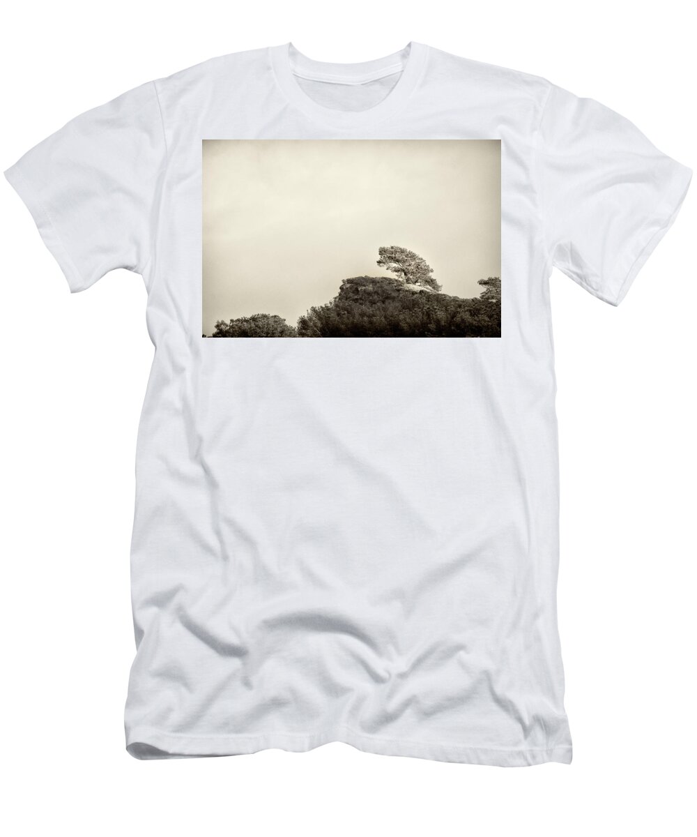 Torrey T-Shirt featuring the photograph Lone Torrey Pine Antique by Lawrence Knutsson