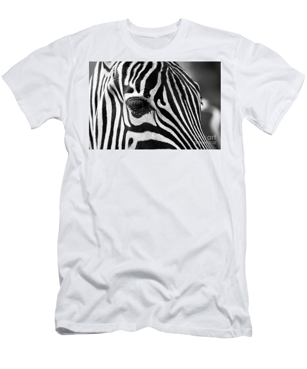 Zebra T-Shirt featuring the photograph Long Eyelashes by Alice Terrill