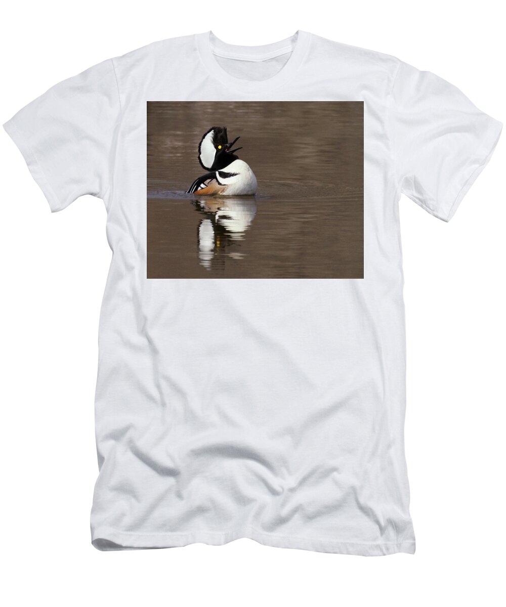 Hooded Merganser T-Shirt featuring the photograph Love Song by Art Cole